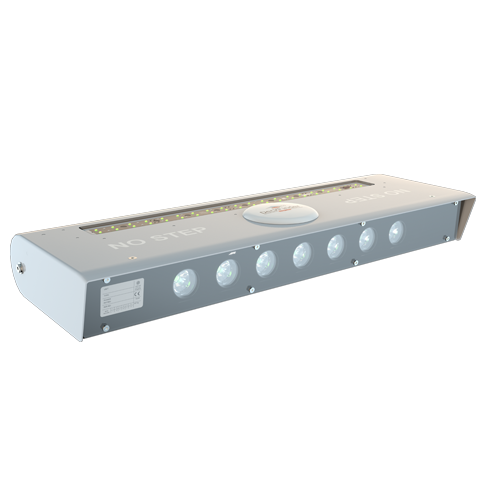 Combination Deck Light